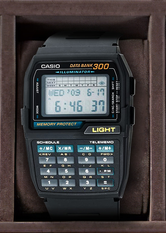 CASIO_DBC_310-1